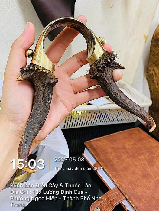 Sừng hoẳng - 7Cm (chân điếu VIP)