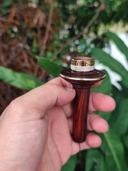 Nỏ Thuốc chọn lọc